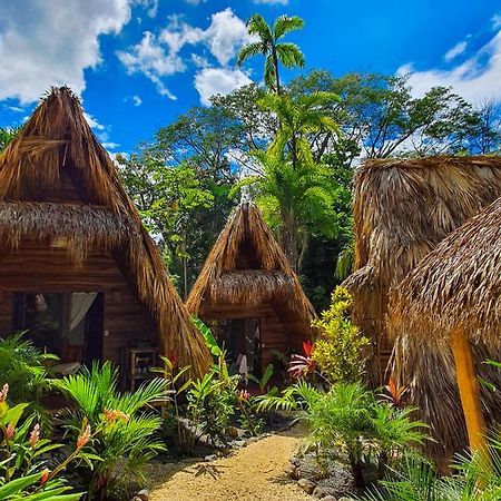 Buena Onda Bungalows Playa Santa Teresa  Zewnętrze zdjęcie