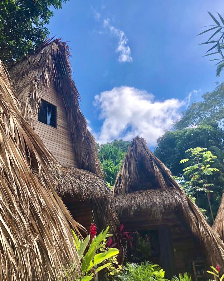 Buena Onda Bungalows Playa Santa Teresa  Zewnętrze zdjęcie