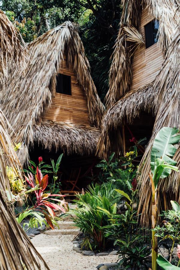 Buena Onda Bungalows Playa Santa Teresa  Zewnętrze zdjęcie