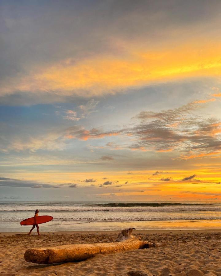 Buena Onda Bungalows Playa Santa Teresa  Zewnętrze zdjęcie